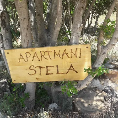 Stela In Karin Gornji *